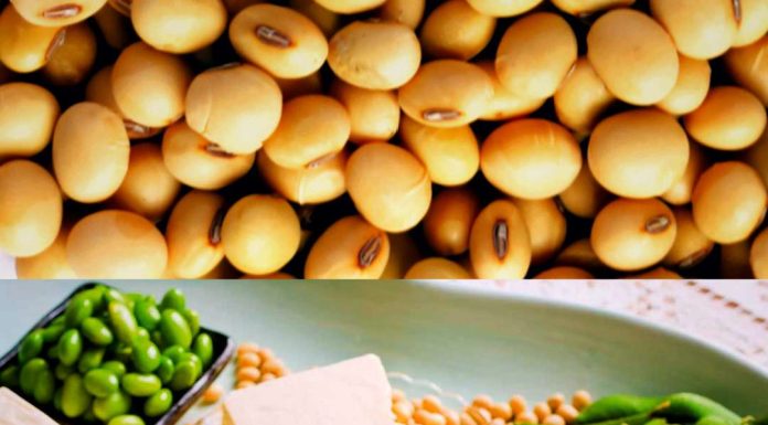 Soya ishobora gutera ubugumba ku bagabo – Inzobere mu mirire