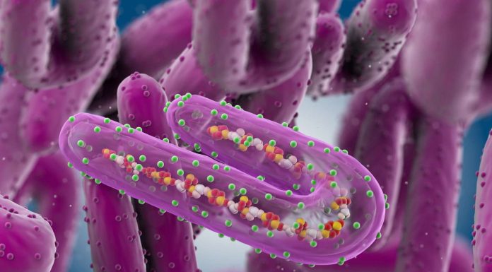 MINISANTE itanze ibisobanuro ku ndwara bivugwa ko iri guhitana abantu mu Rwanda